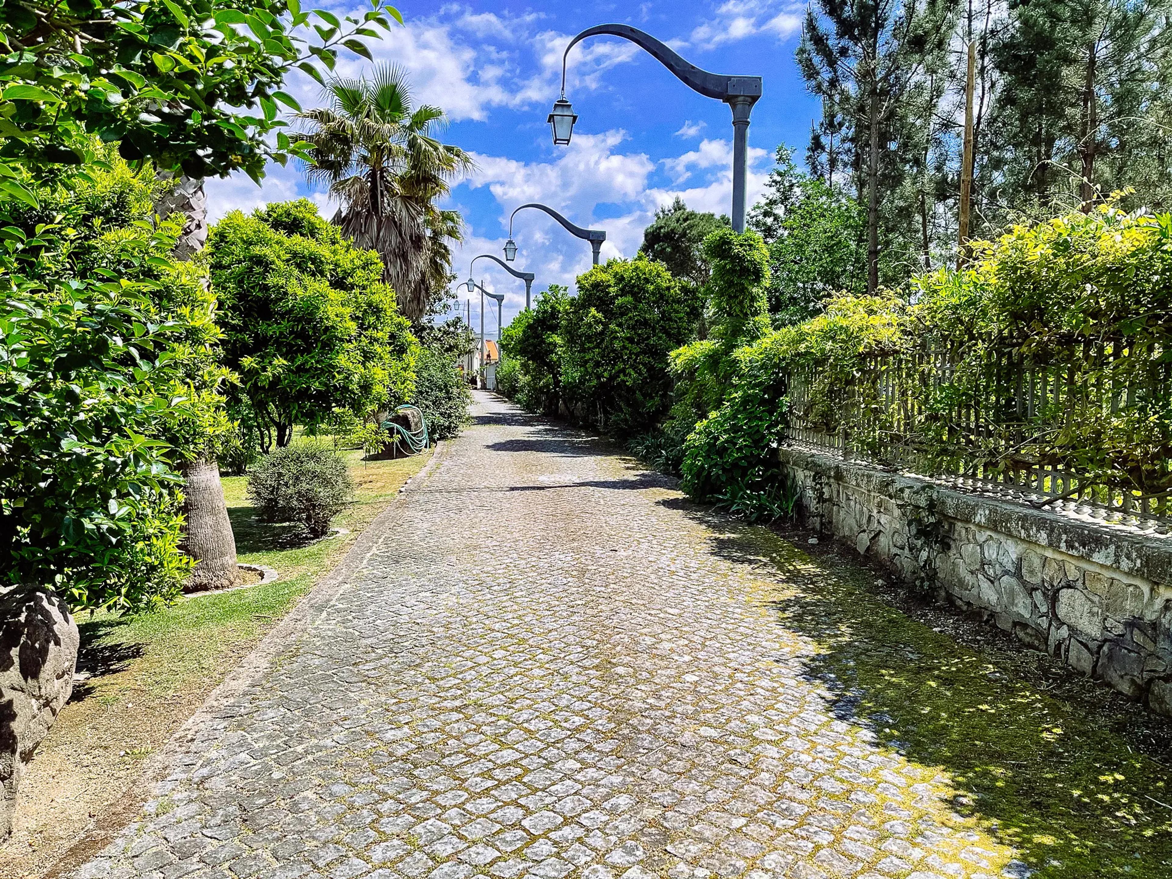 Caminho empedrado ladeado de árvores e candeeiros na entrada da Quinta dos Ferrage