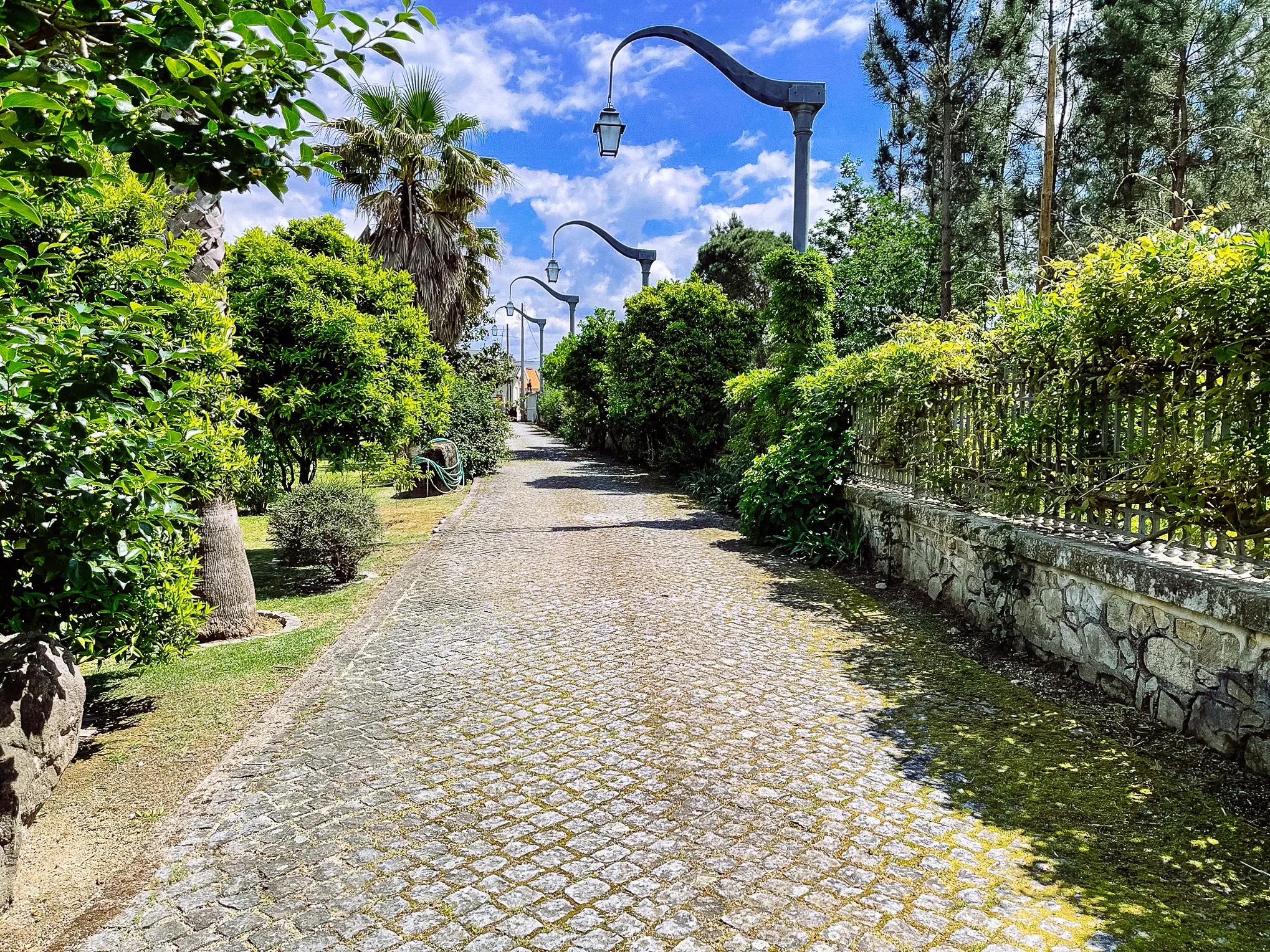 Caminho empedrado ladeado de árvores e candeeiros na entrada da Quinta dos Ferrage