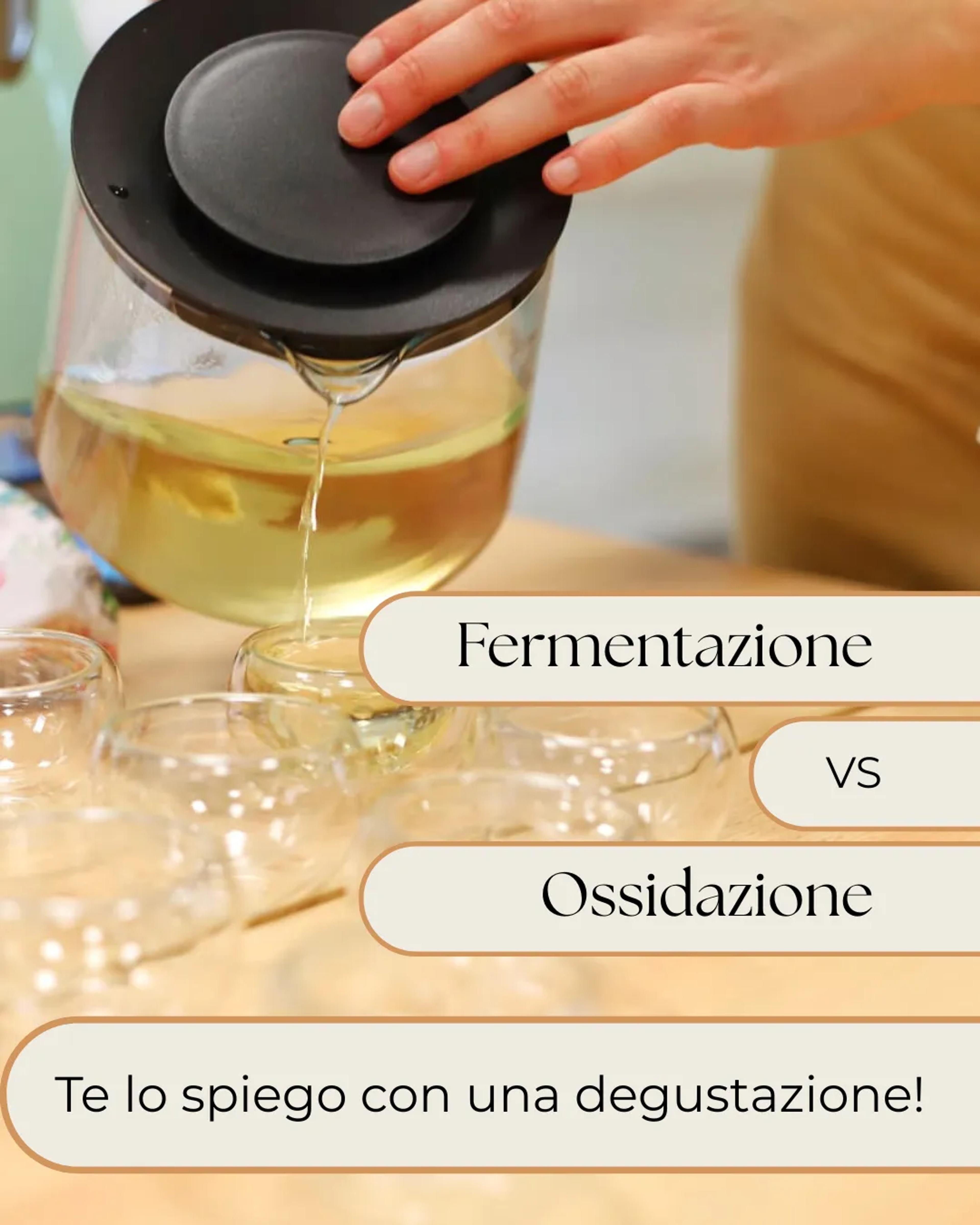 FERMENTATI VS OSSIDATI