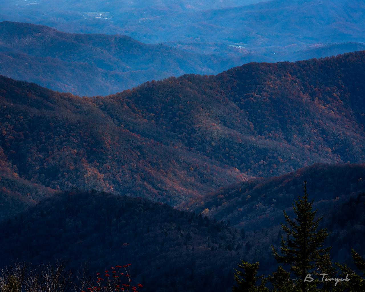 Fall in the smokies