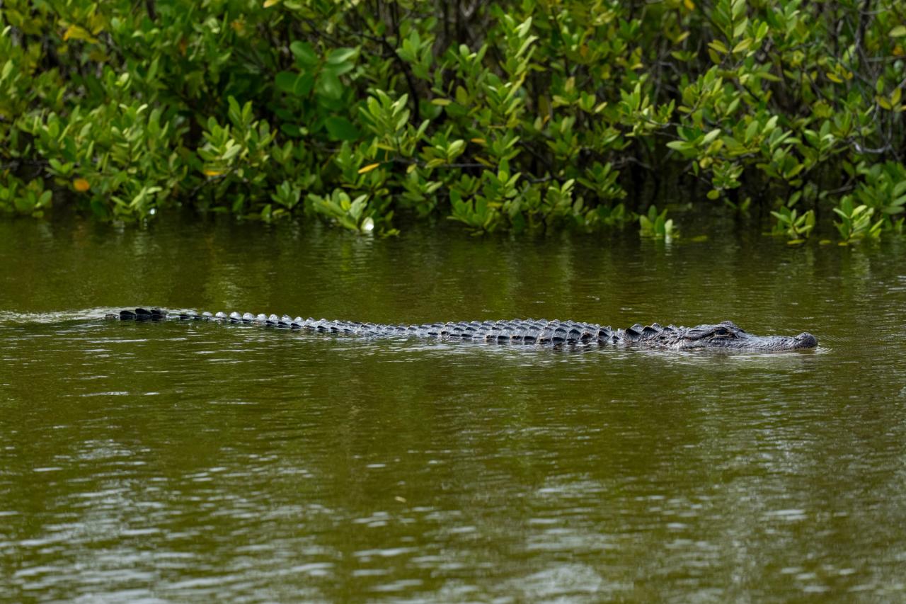 Florida Trip: Part 1 - Merritt Island