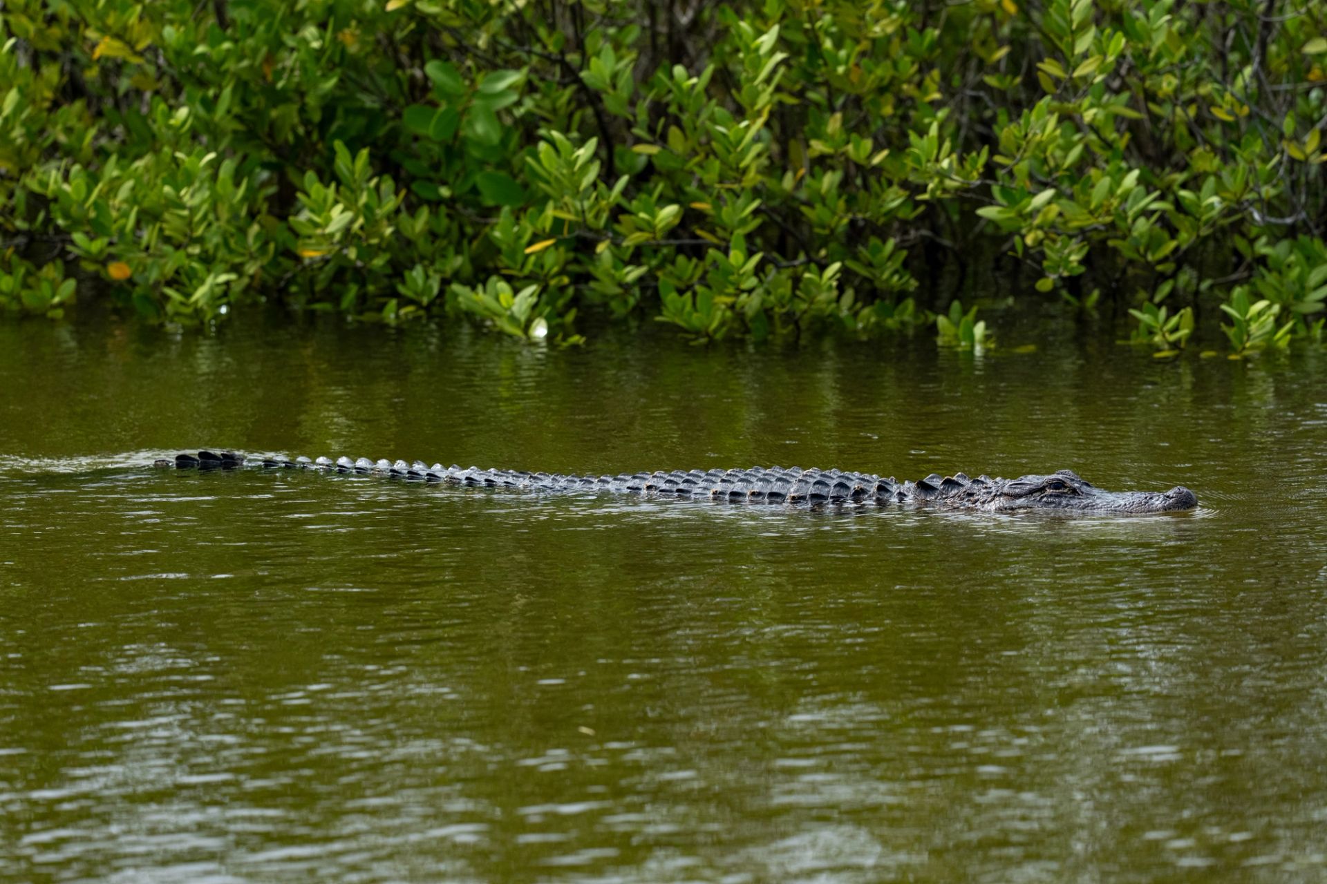Florida Trip: Part 1 - Merritt Island