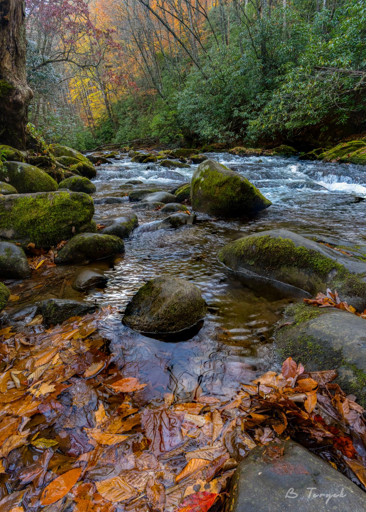 Fall in the smokies