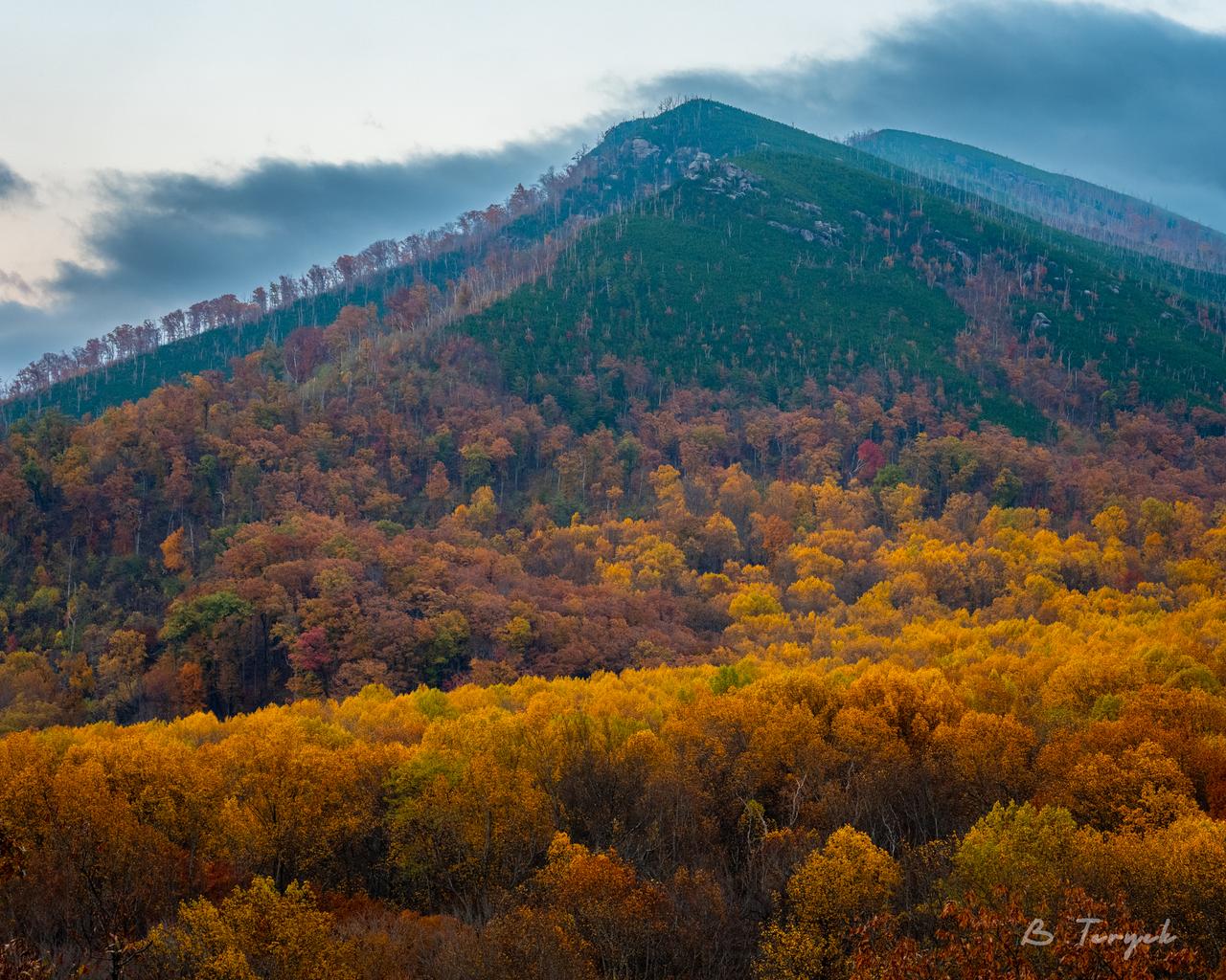 Fall in the smokies