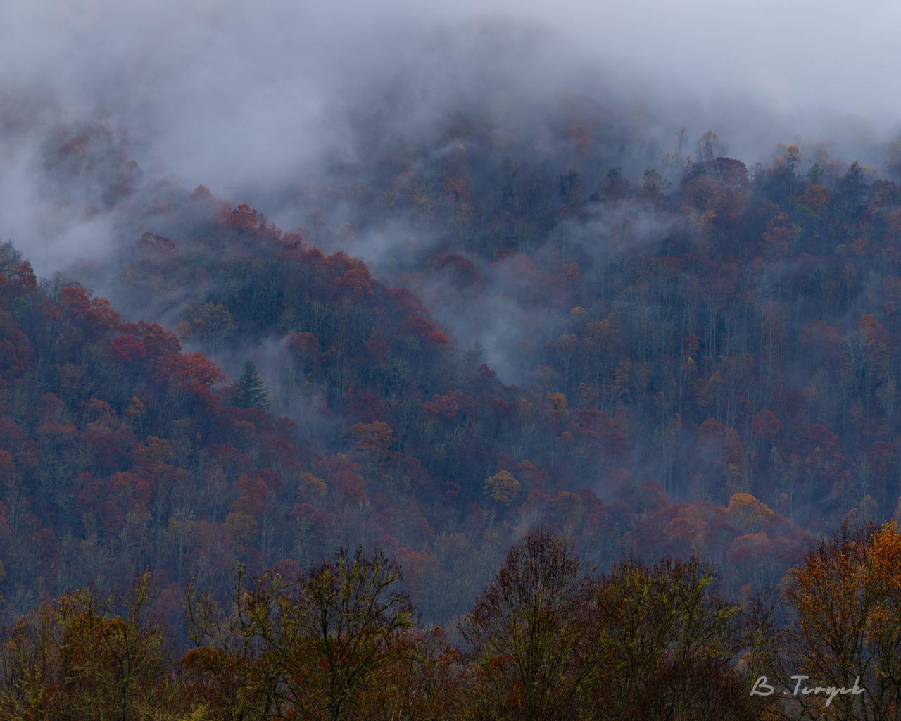 Fall in the smokies