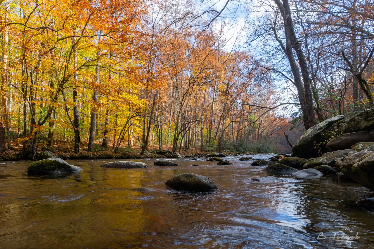 Fall in the smokies