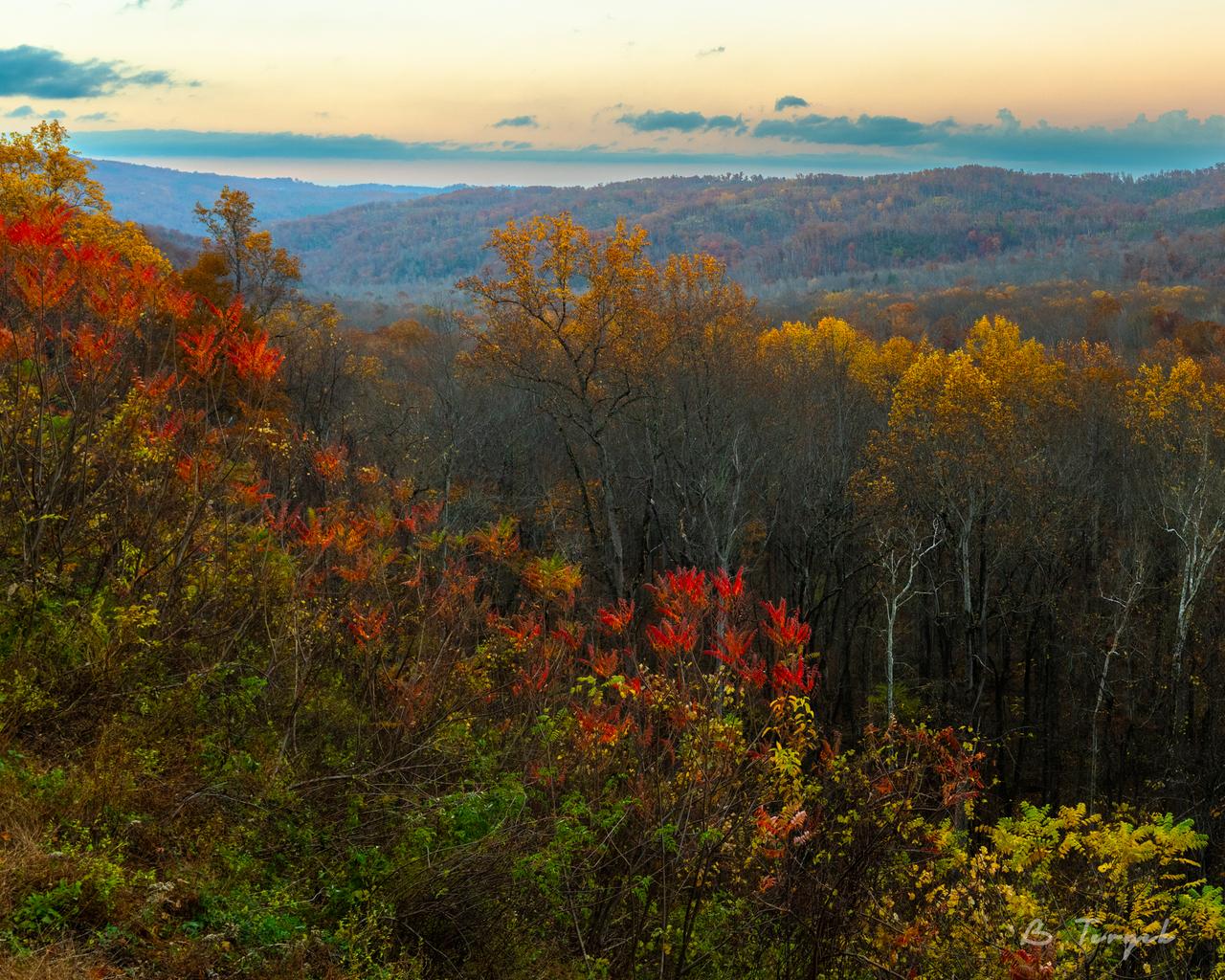 Fall colors in Great Smoky Mountains