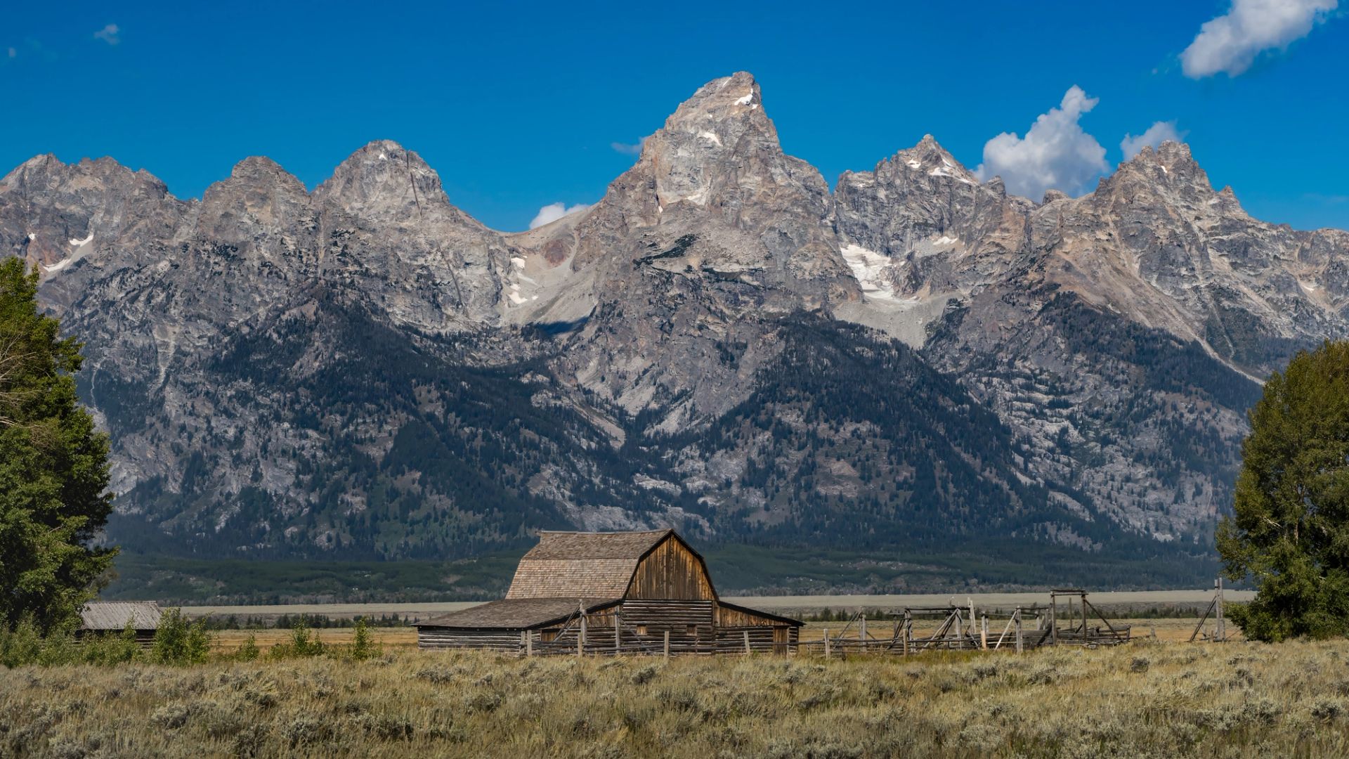 Brian Teryek Photography - Wildlife and Landscape