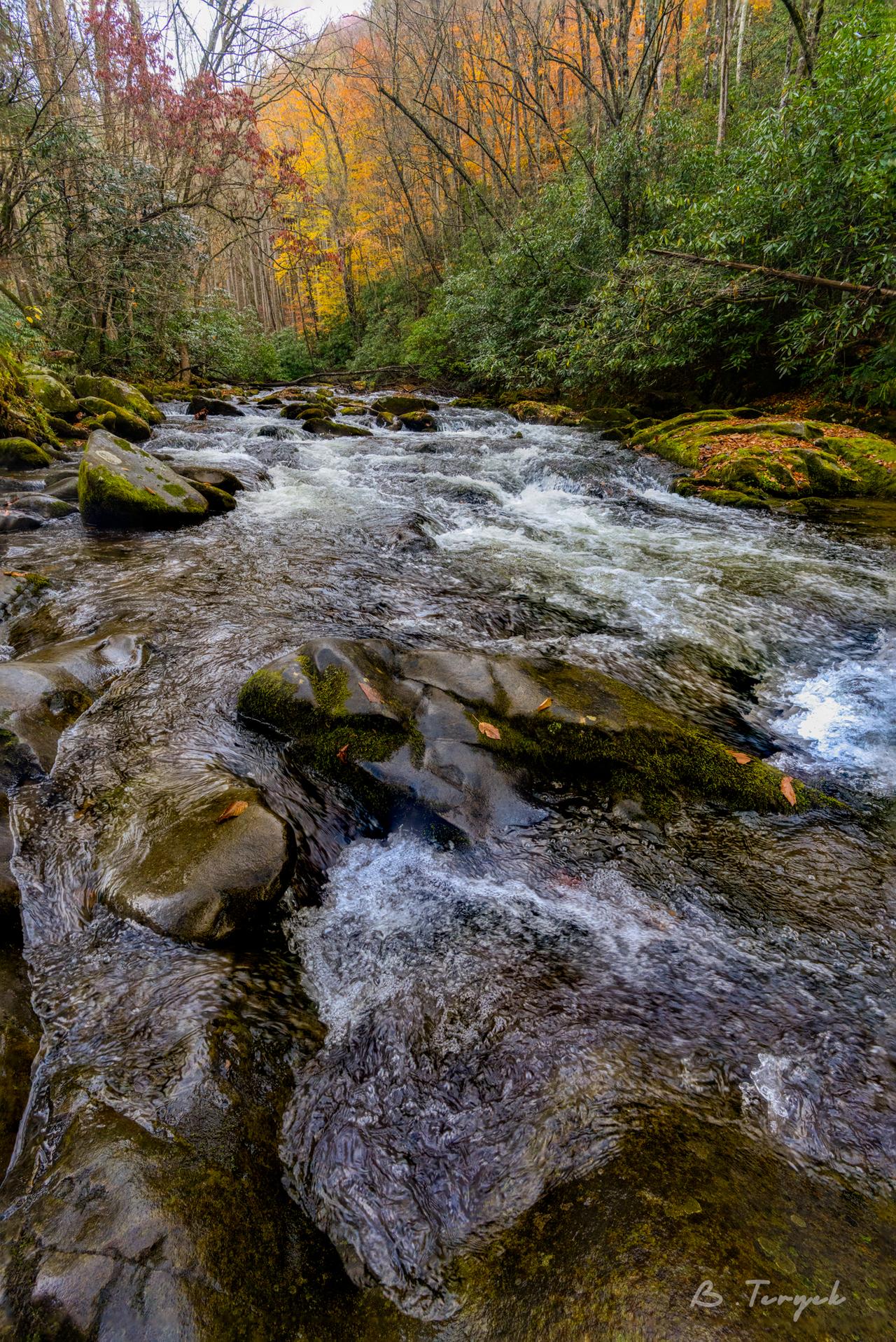 Fall in the smokies