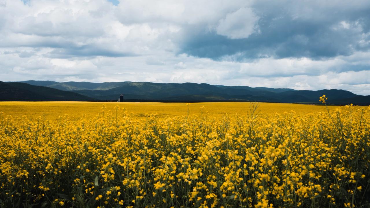 Travel, Family, and Life - 6 Months Recap