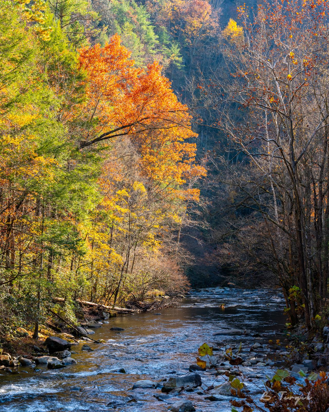 Fall in the smokies
