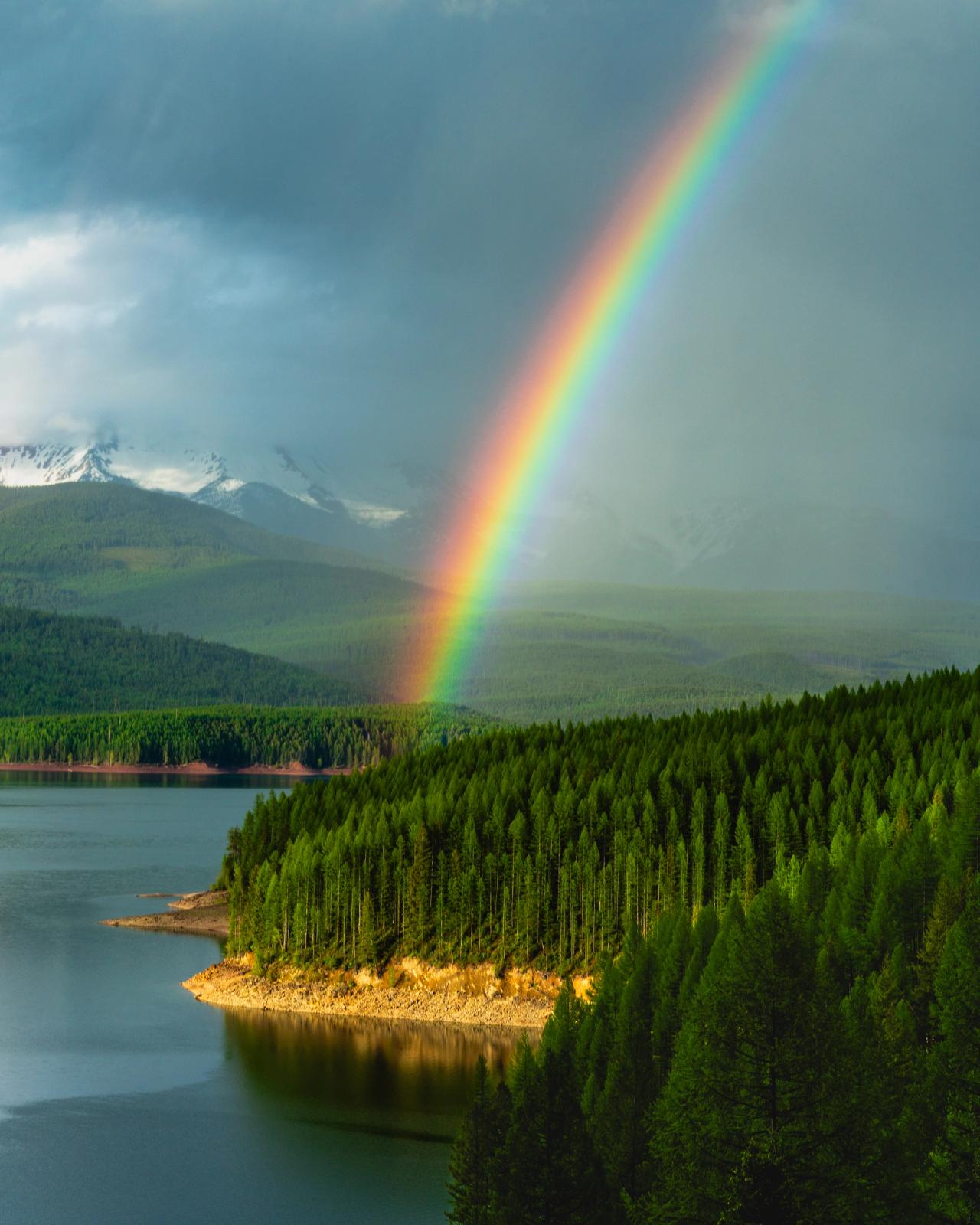 Montana Rainbow