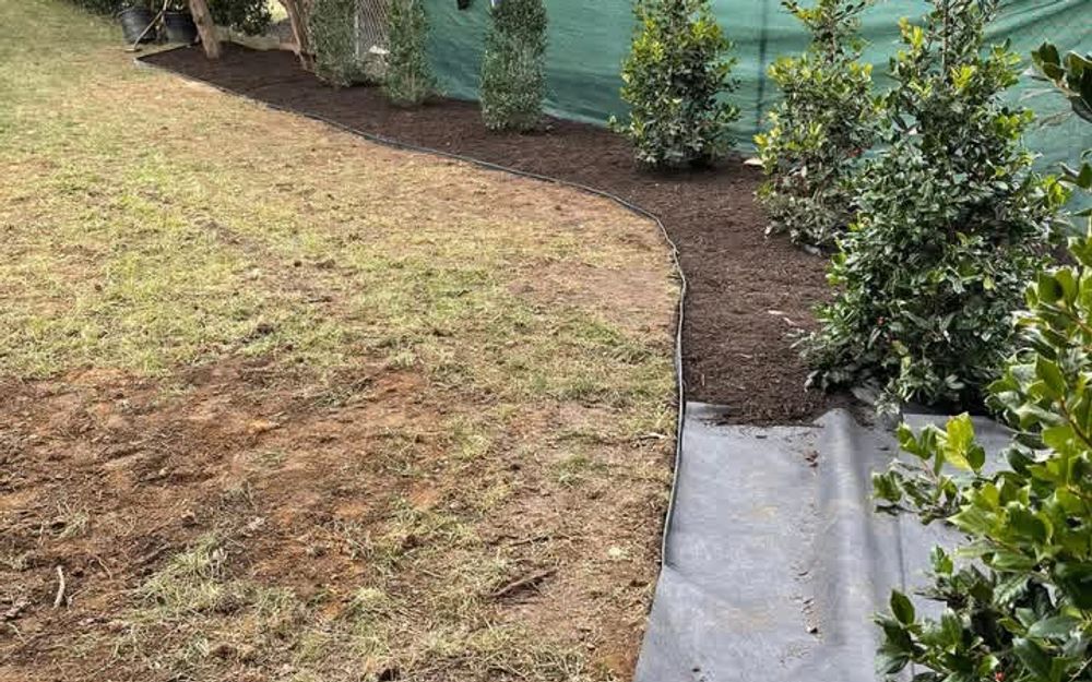 Privacy Tree Planting and Mulch Bed