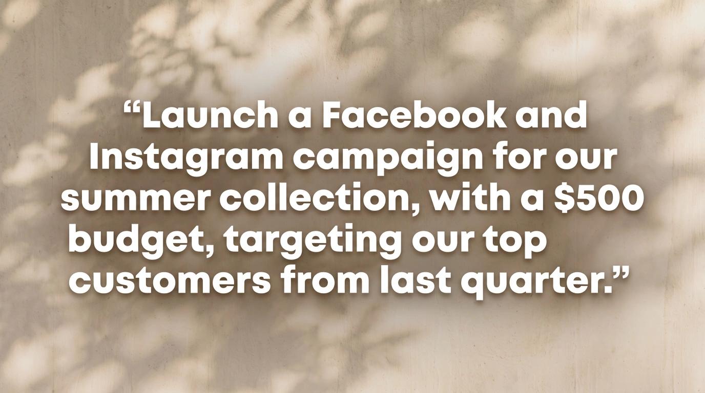 Launch a Facebook and Instagram campaign for our summer collection, with a $500 budget, targeting our top customers from last quarter.