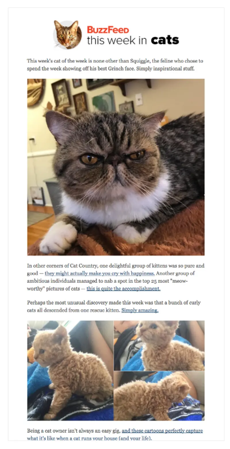 66b26462797e58b7a5205af3 6471f850e59c749687fd9461 buzz