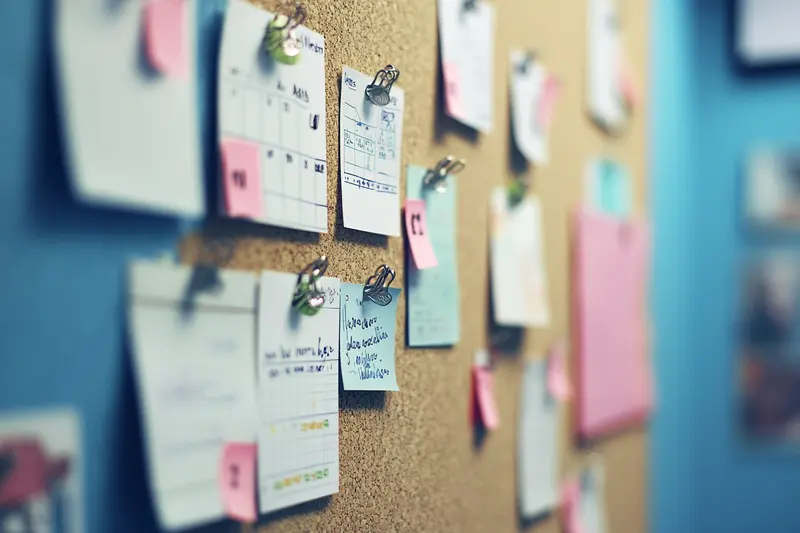 67535ddf7d1e8542b4bec45b 67535ce716cc6f13b465060d notescork