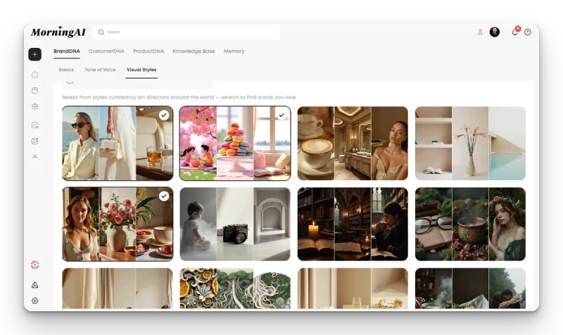 MorningAI Visual Styles within BrandDNA