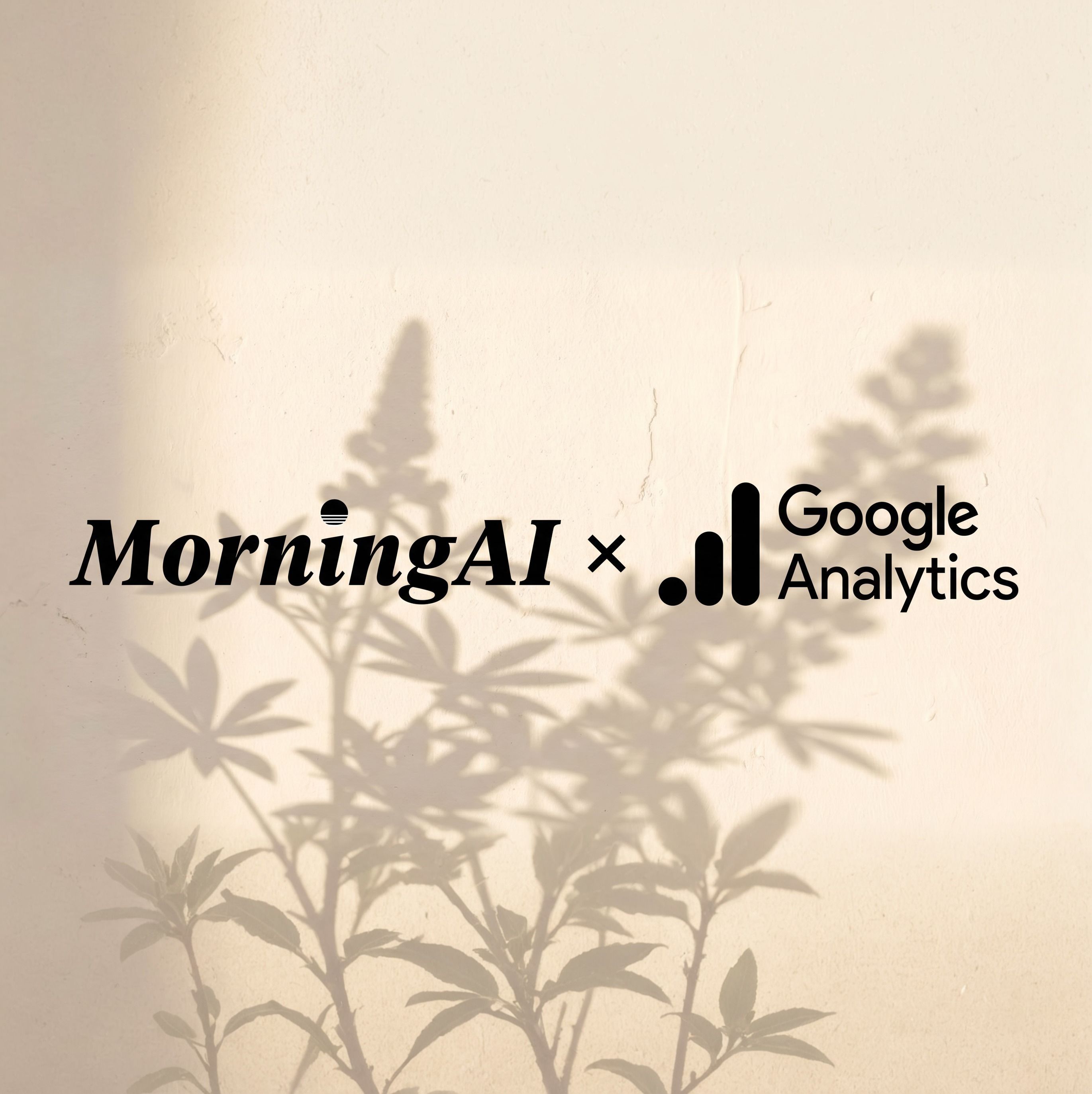 May 12, 2026 Product Updates: Google Search Console & Analytics in the Agent
