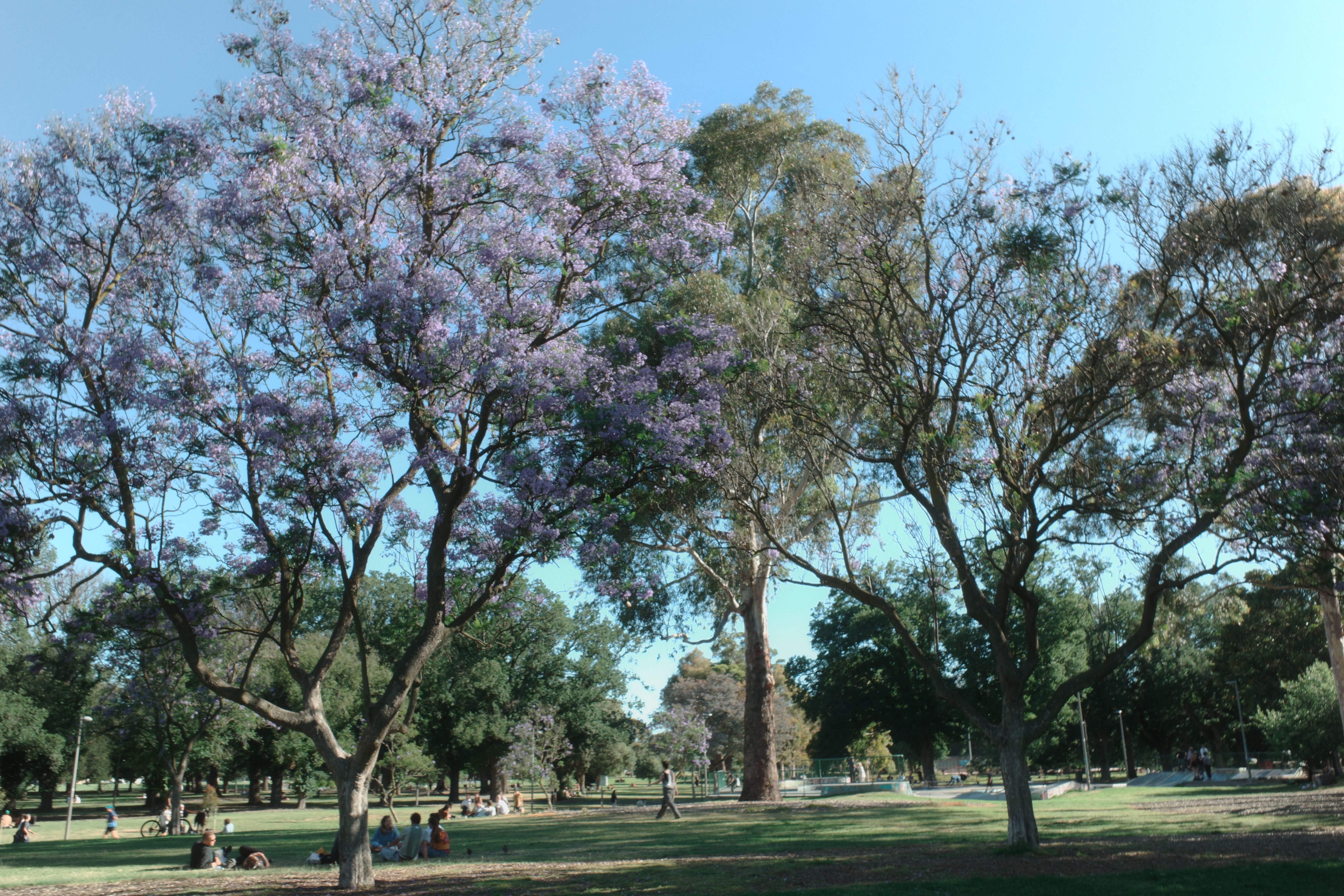 Edinburgh Gardens