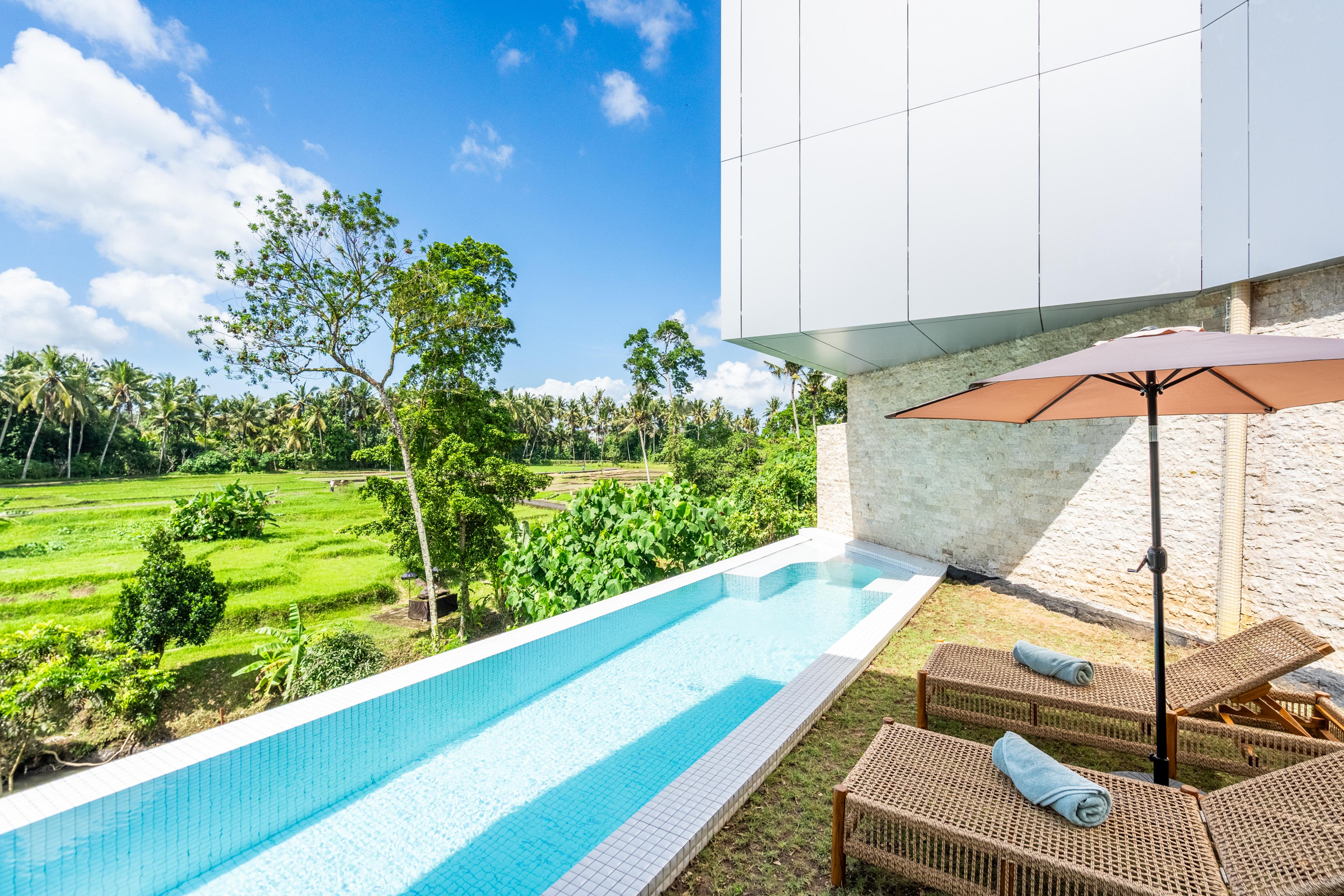 Hidden city Ubud property in Ubud, Bali — thumbnail 44