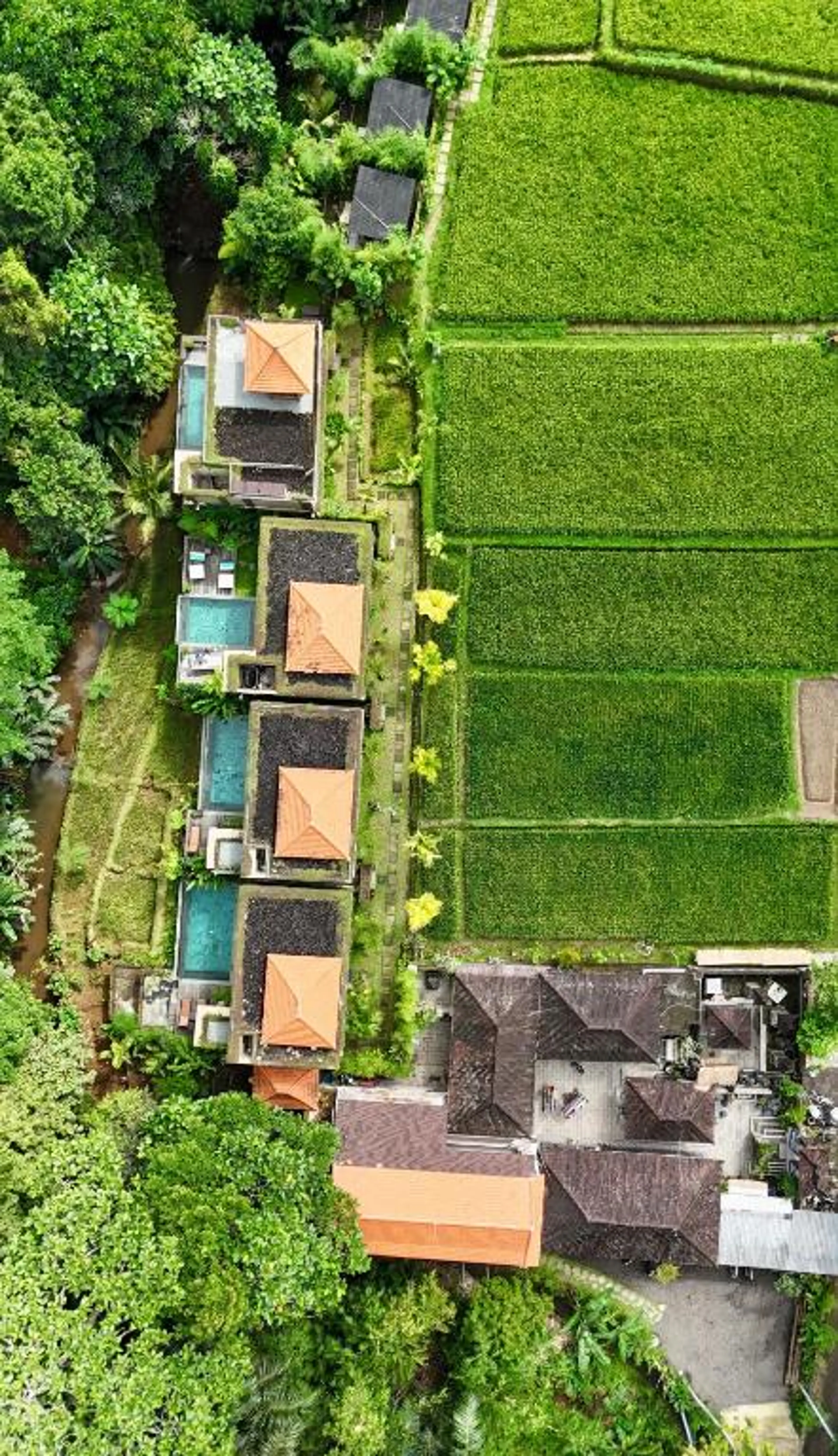 villa in Ubud, Bali — thumbnail 21