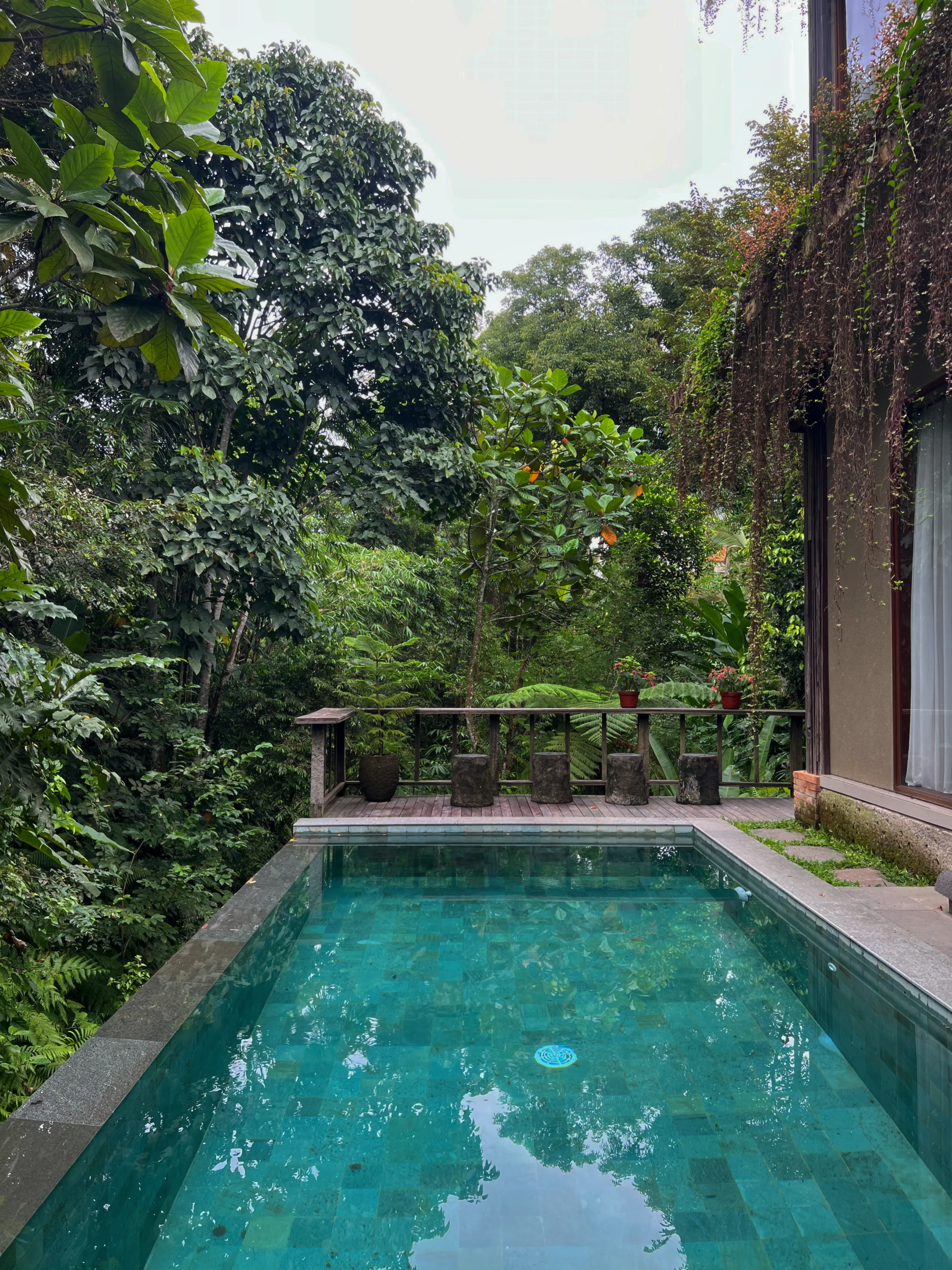 villa in Ubud, Bali — thumbnail 11