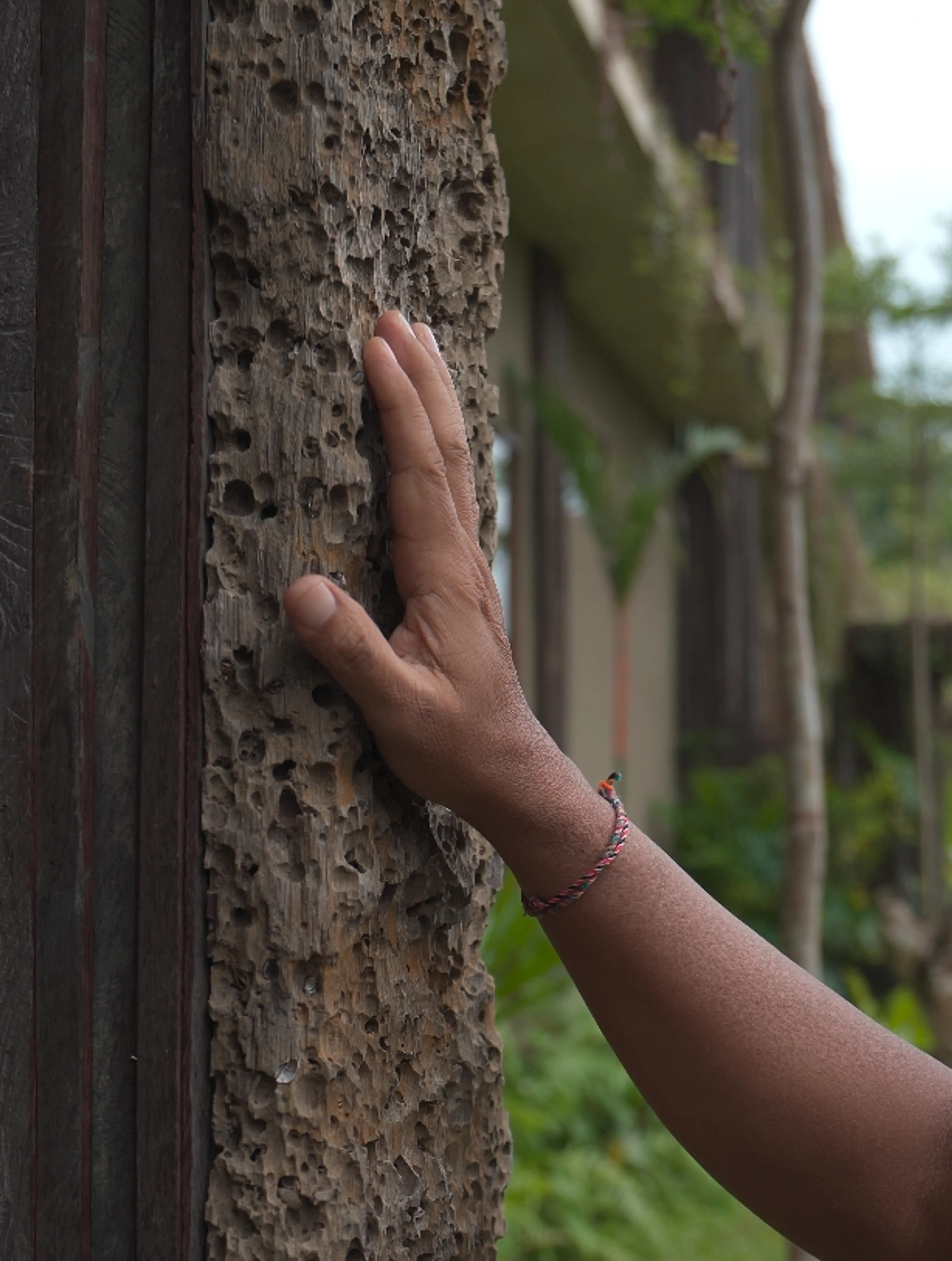 villa in Ubud, Bali — photo 1 of 39