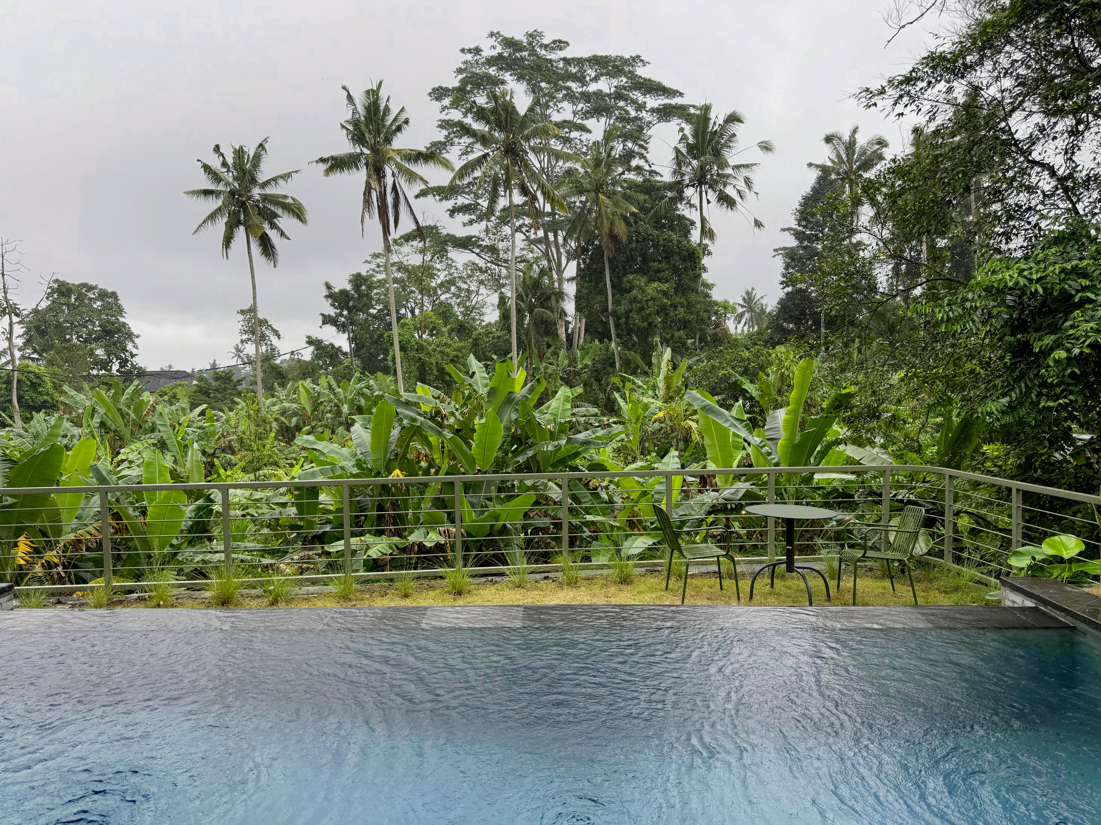 The Twins villa in Ubud, Bali — thumbnail 17