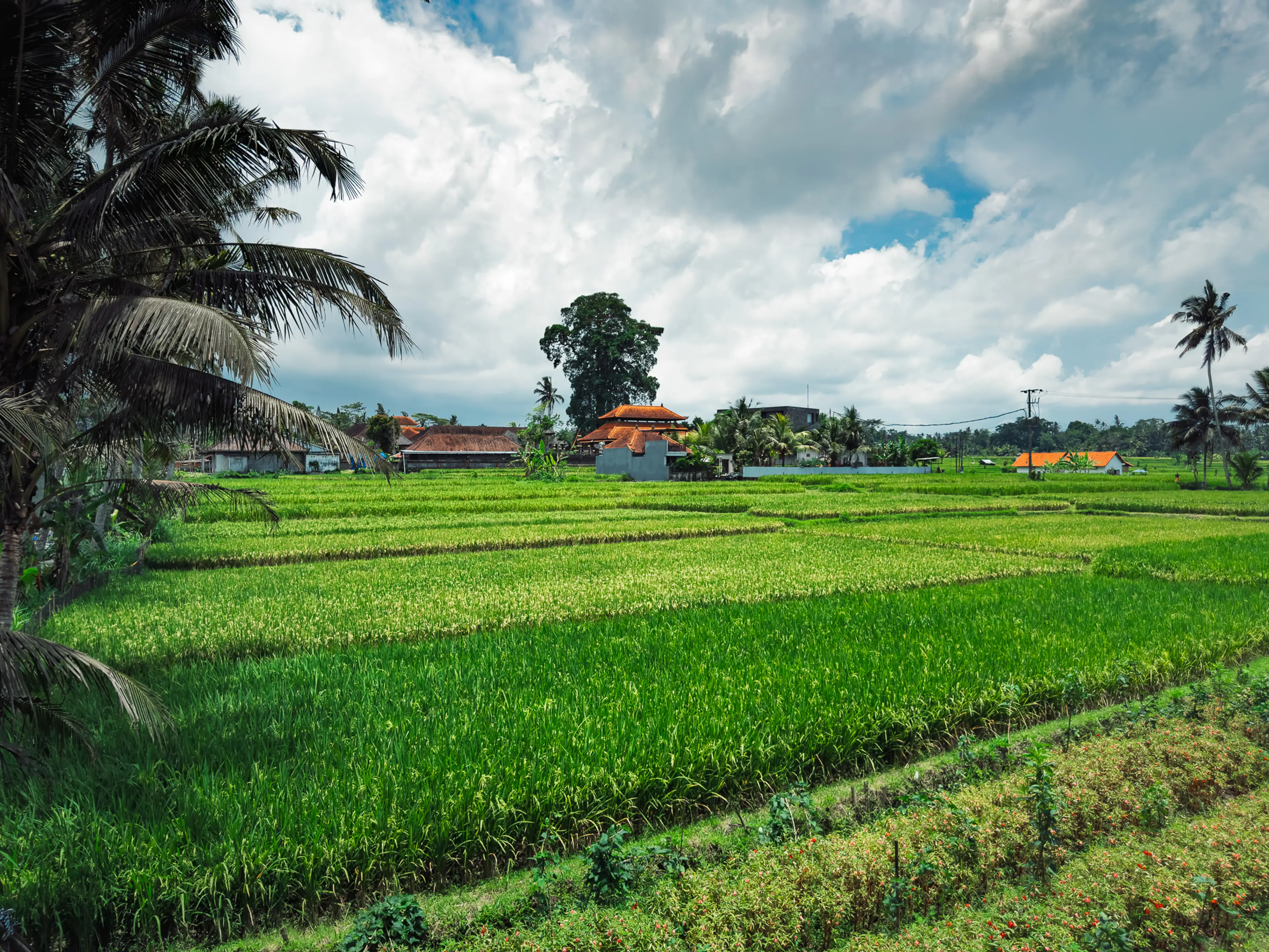 villa in Ubud, Bali — thumbnail 21