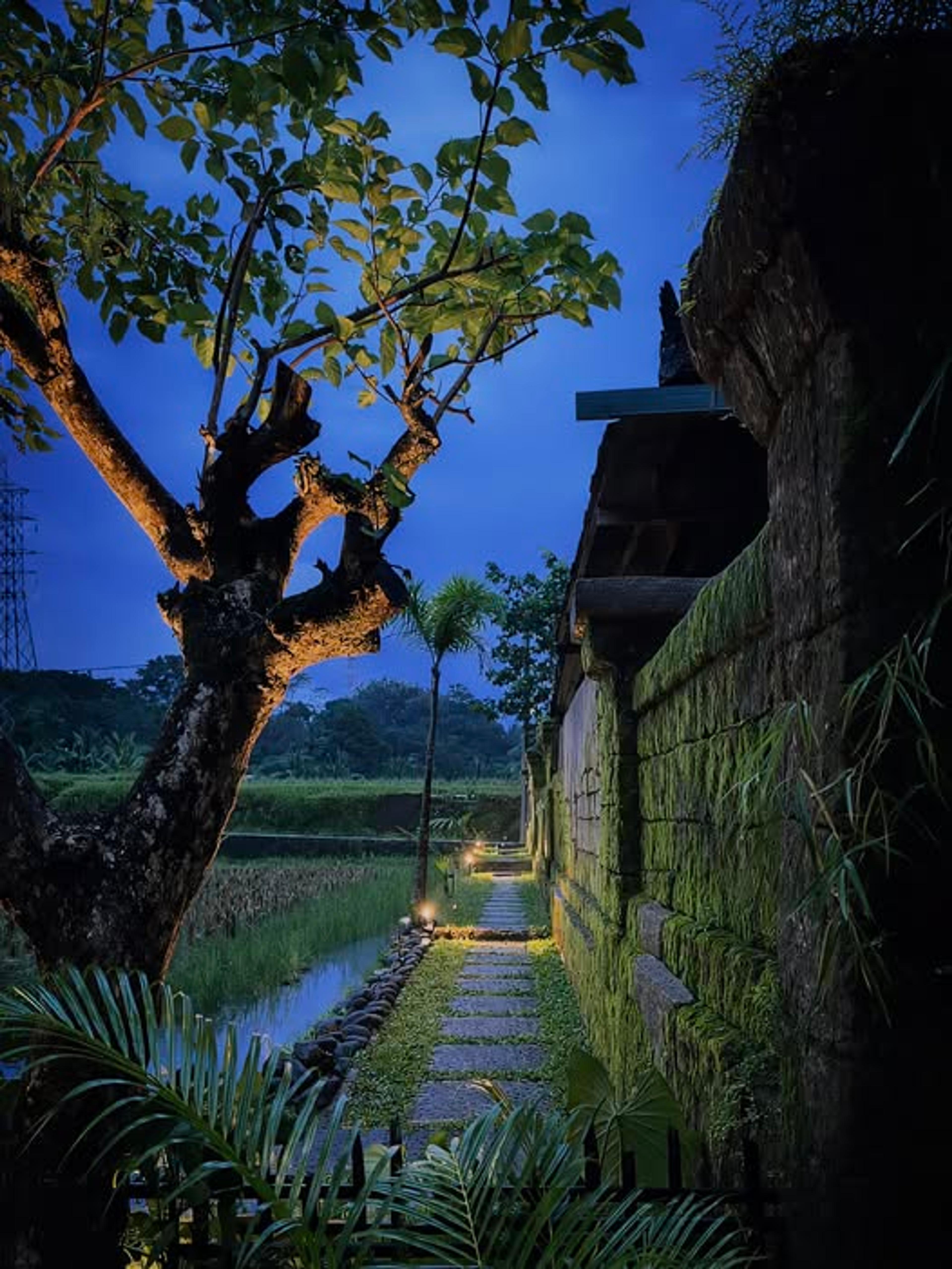 Elforrest villa in Ubud, Bali — thumbnail 32