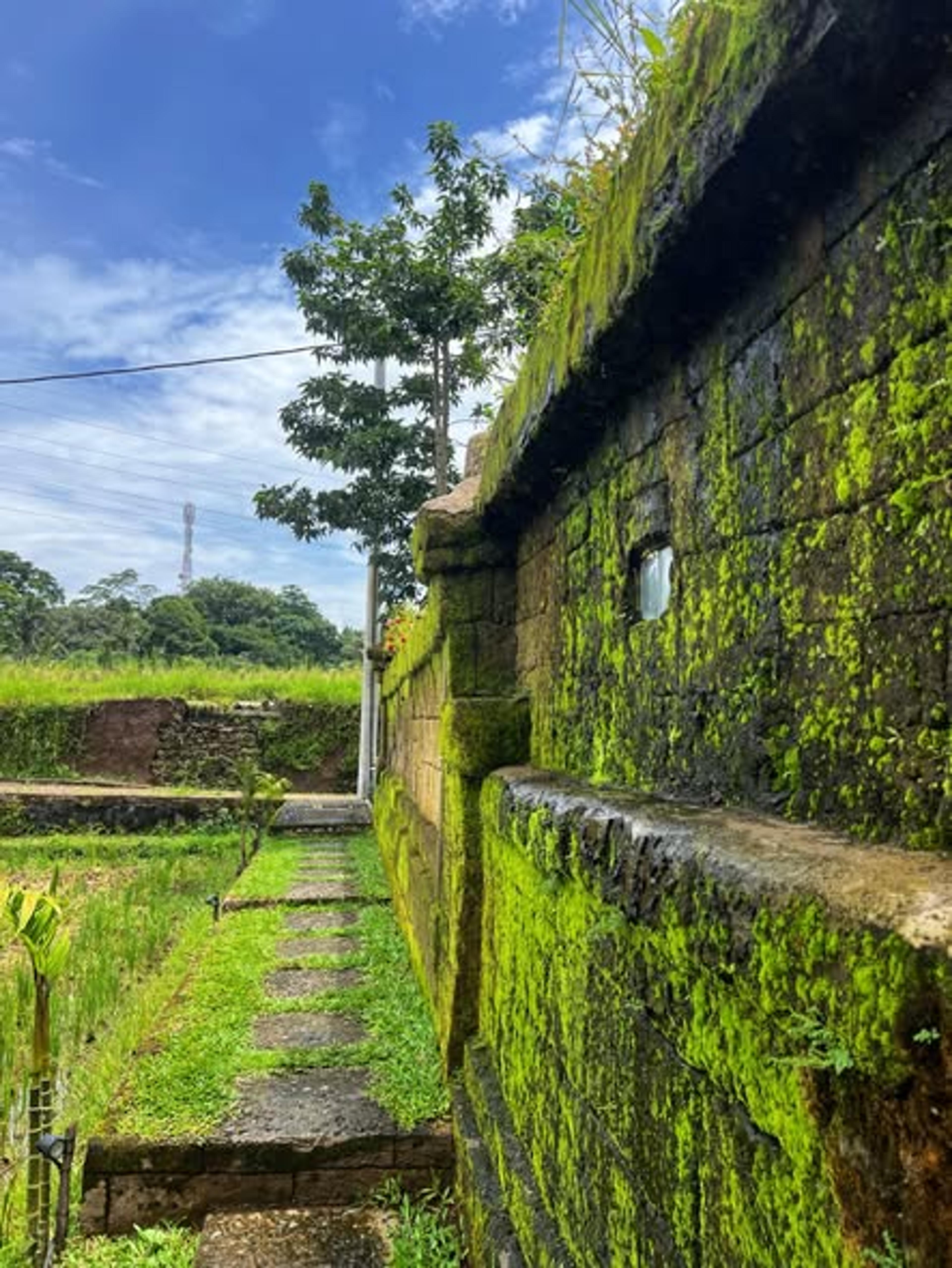 Elforrest villa in Ubud, Bali — thumbnail 33