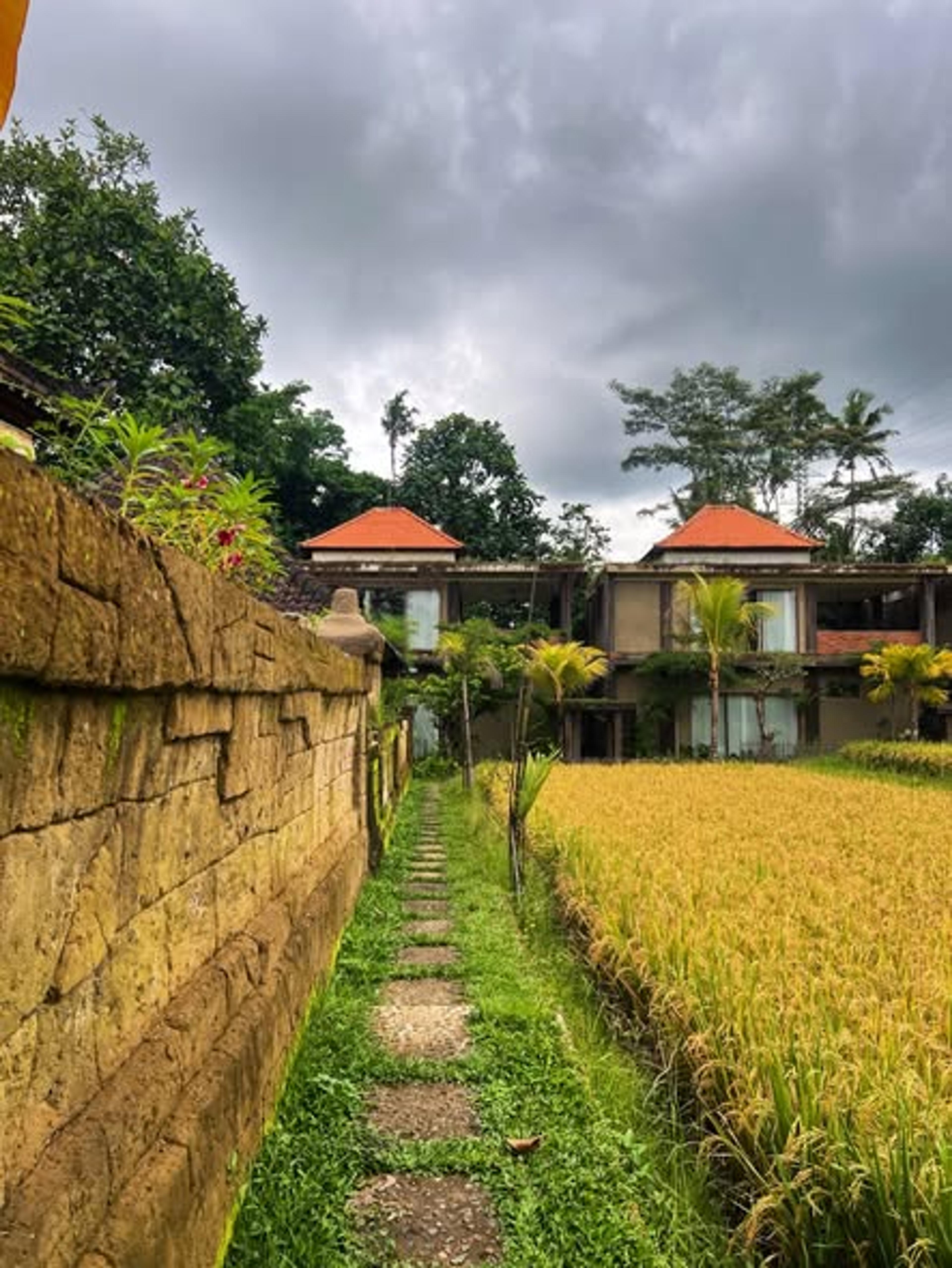 Elforrest villa in Ubud, Bali — thumbnail 34