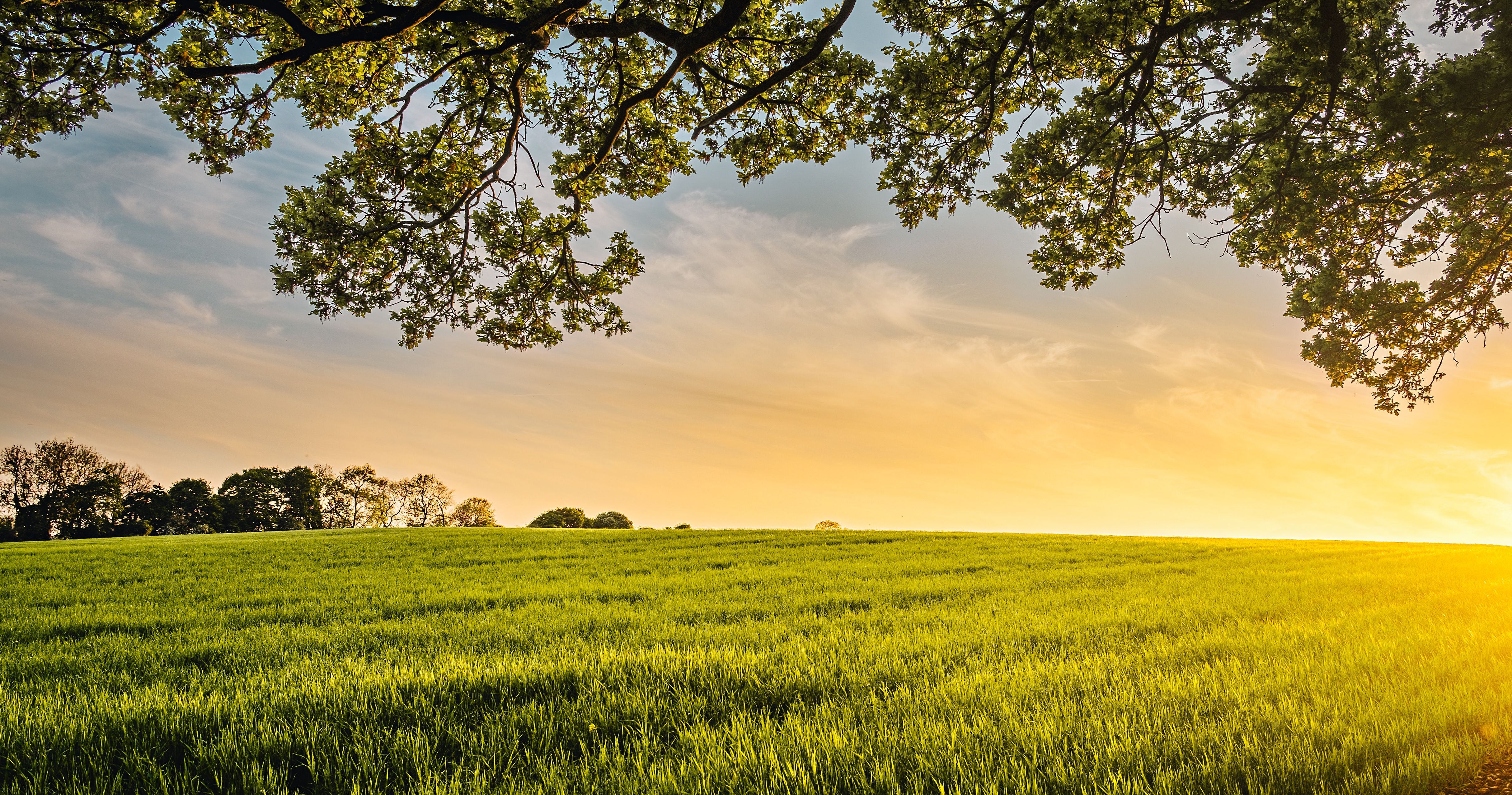 TO BE CREATIVE YOU NEED TO REDUCE STRESS IN INDIVIDUALS, TEAMS AND ORGANISATIONS