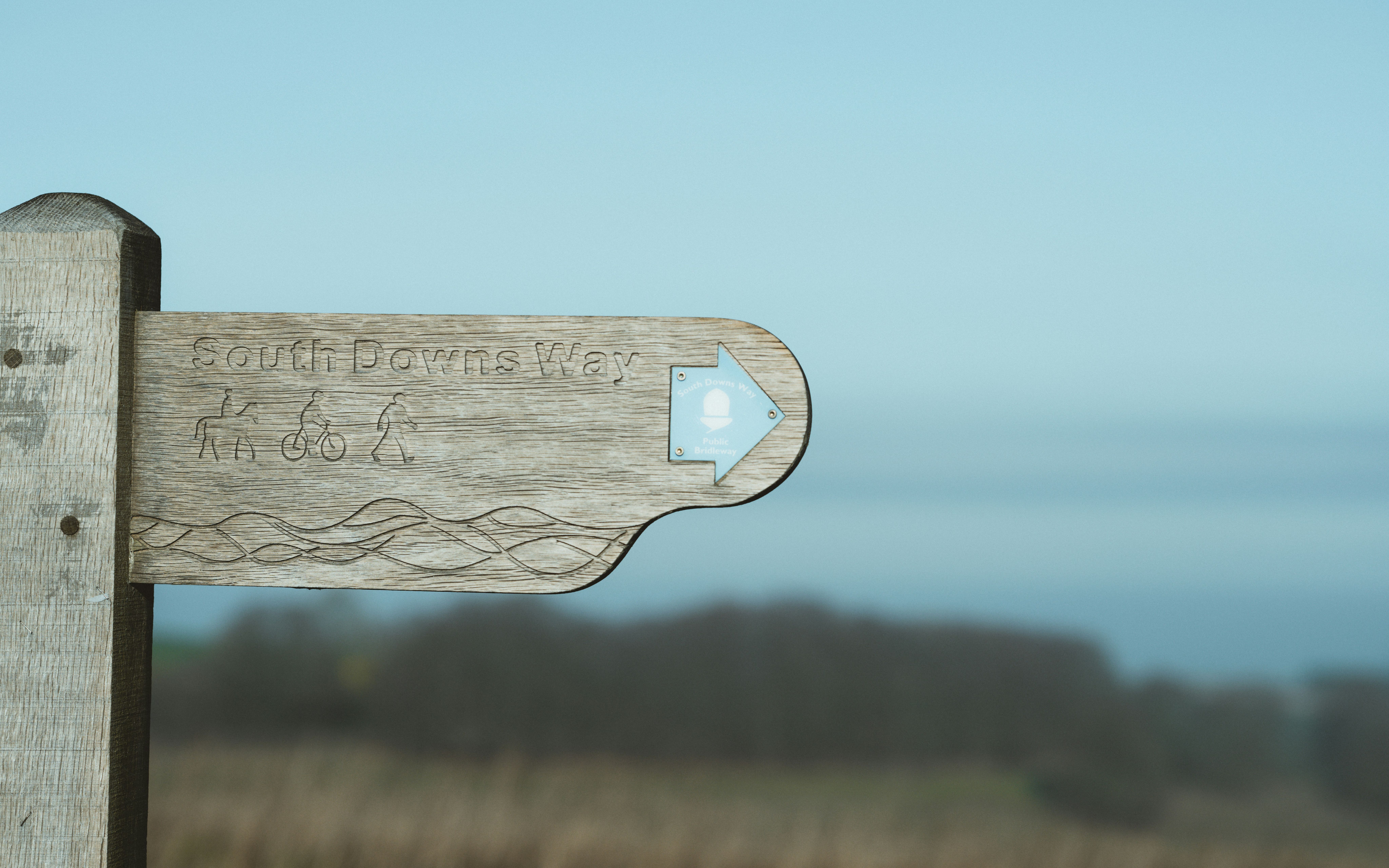 Creo Crunch - Bitesize learning for leading through change