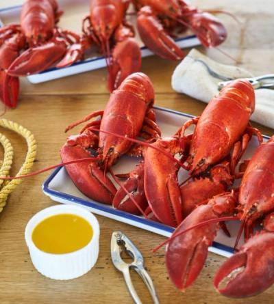 Profile Image of Get Maine Lobster