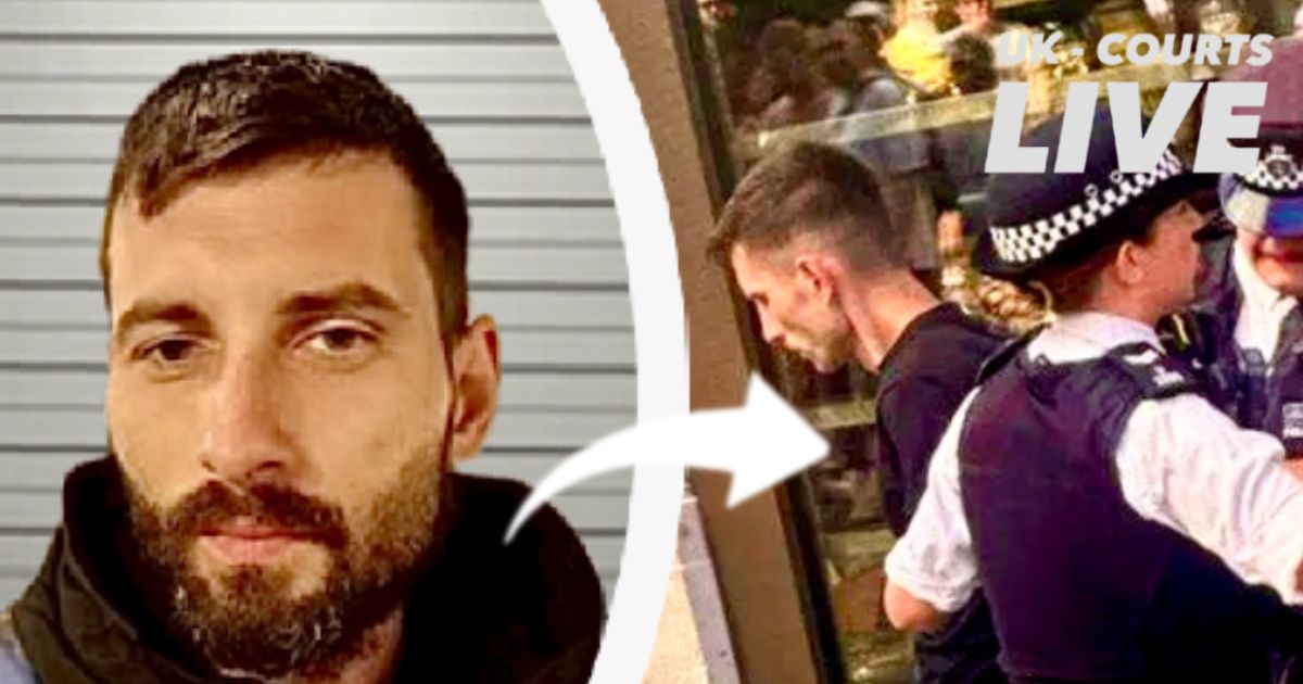 Man Admits Brutal Leicester Square Stabbing of Girl, 11, in Court