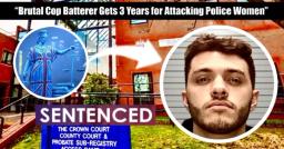 🔴 Man Threw Female Officer Face-First Into Road As He Choked Her Colleague: 3 Years Detention 