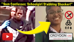 "Schoolgirl Stabbed to Death: Teen Admits Killing but Denies Murder Charge!"