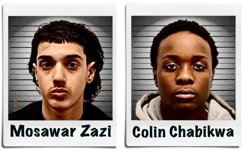 Article image embedded in content