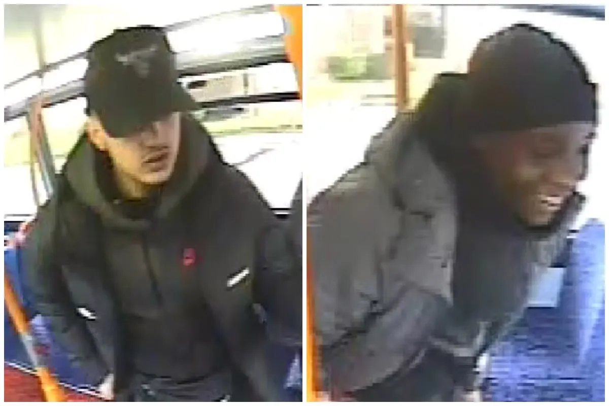 Article image embedded in content