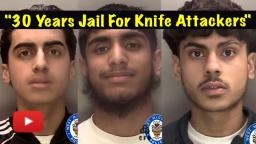 Three Men Sentenced to 30 Years for Brutal Machete Attack in Walsall Park