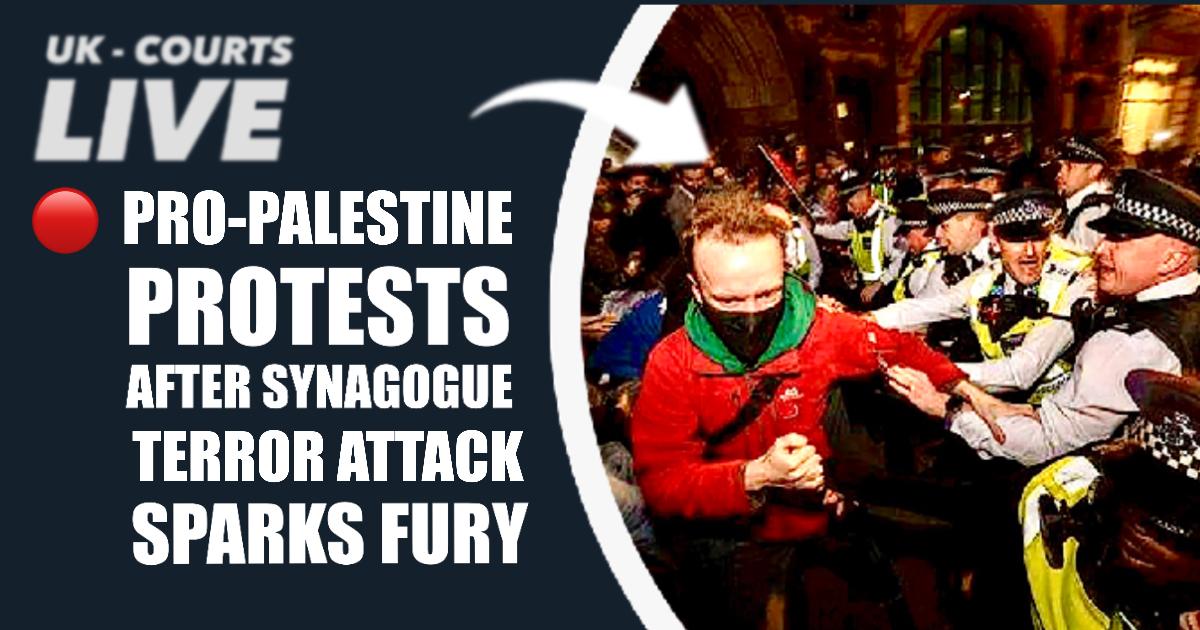 🔴 Pro-Palestine Protests After Synagogue Killings Spark Fury