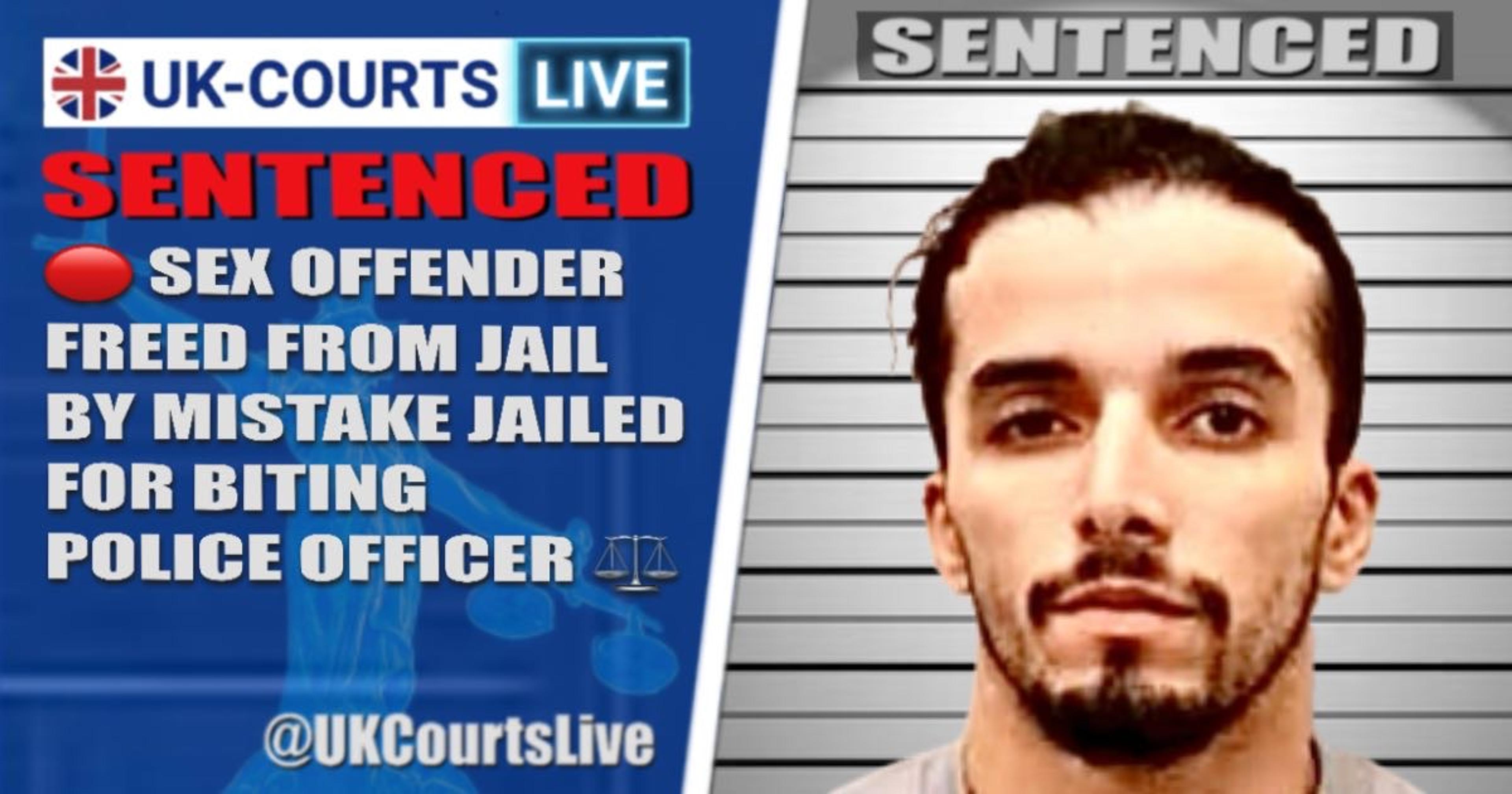 🔴 WANDSWORTH FUGITIVE JAILED FOR VICIOUS POLICE ATTACK