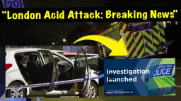 "Horror Unleashed: Woman and Children Hospitalized in South London Acid Attack - Police Launch Intensive Manhunt"
