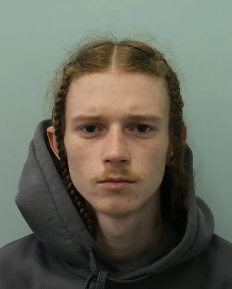 Article image embedded in content