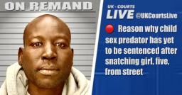 🔴 CHILD SEX PREDATOR SENTENCING DELAYED OVER DANGER TEST