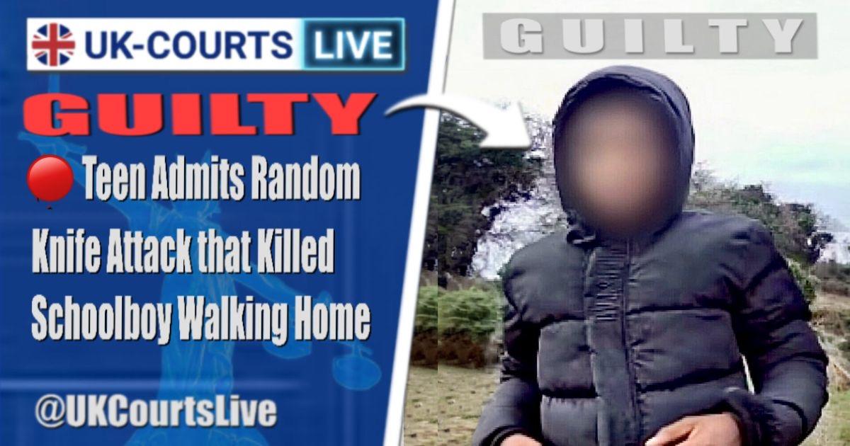 🔴 TEEN PLEADS GUILTY TO MURDER OF SCHOOLBOY LEO ROSS, 12