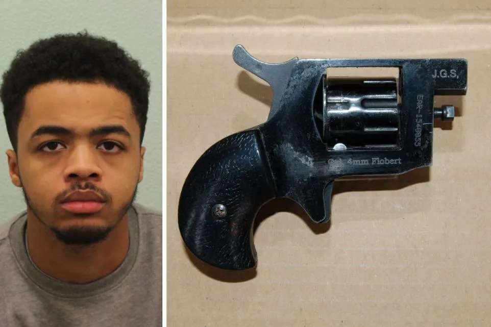 Article image embedded in content