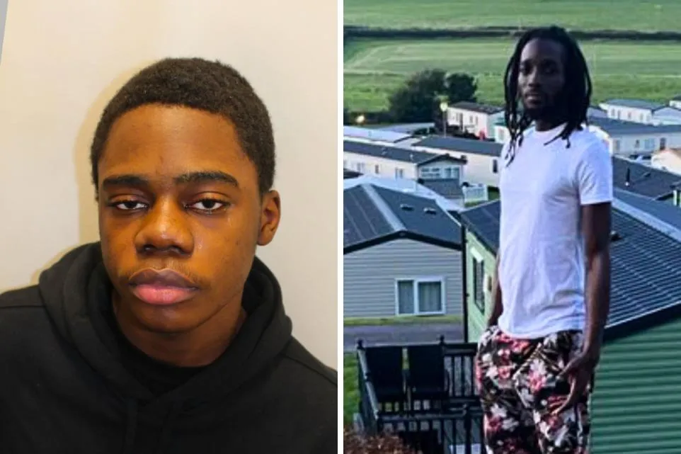 Article image embedded in content