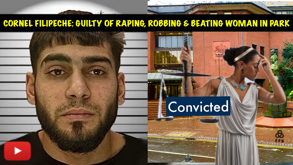 Rapist Admits Brutal Attack on Woman in Perry Barr